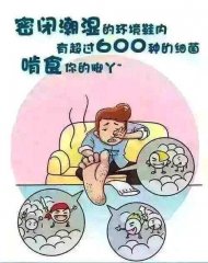 Ϊʲô׷
